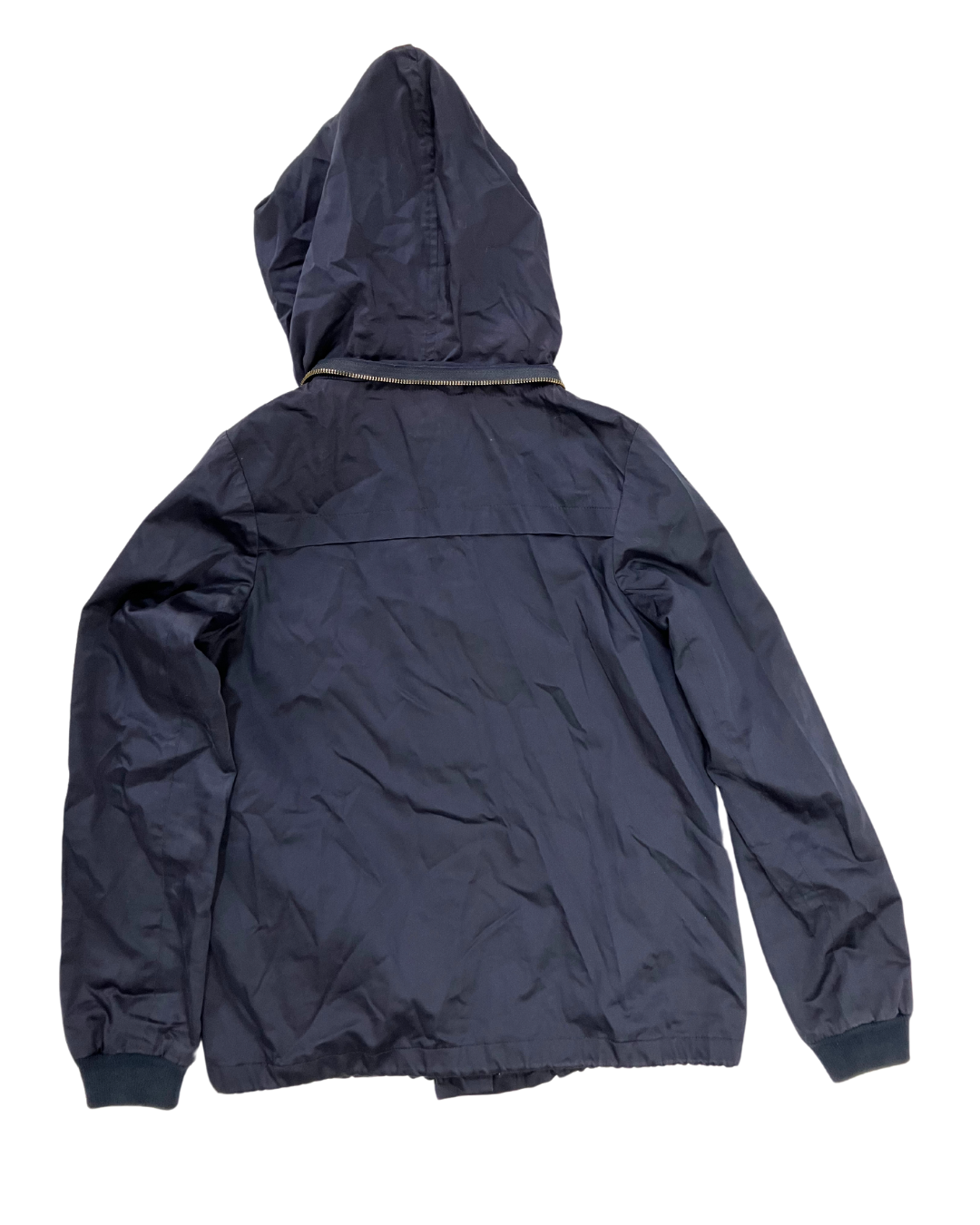 Toast Navy Coat