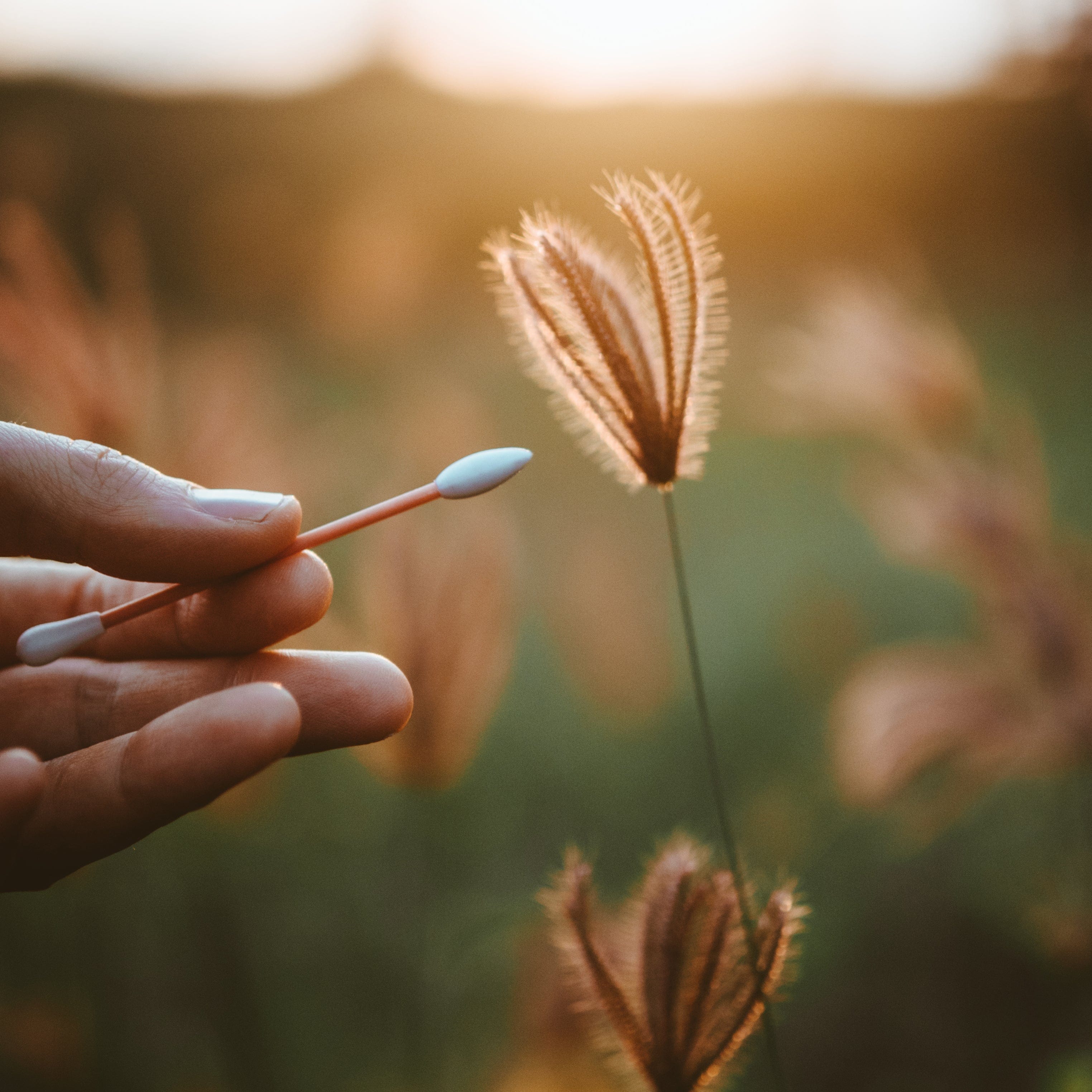 The Last Object Zero Waste The Last Swab Beauty in Peach