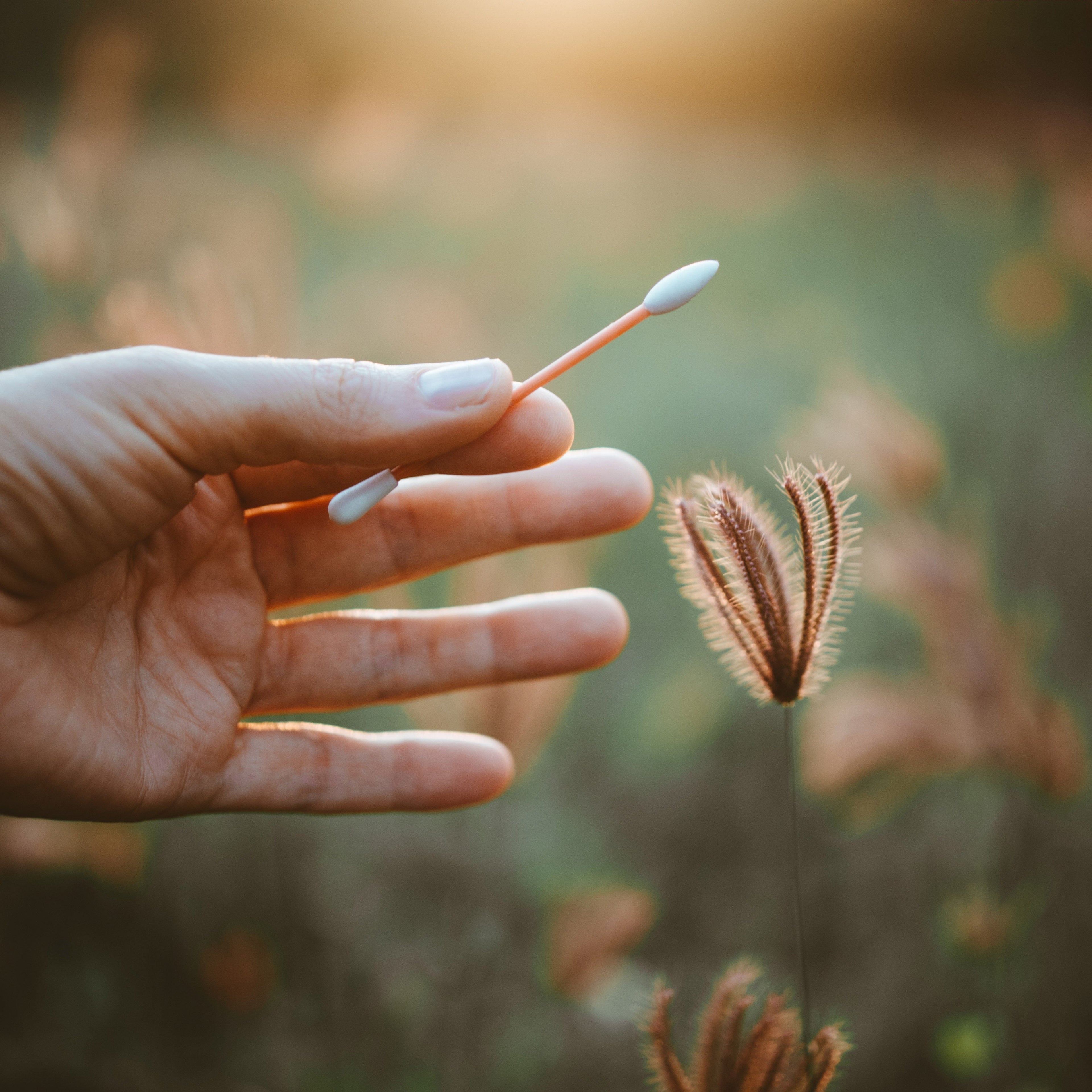 The Last Object Zero Waste The Last Swab Beauty in Peach